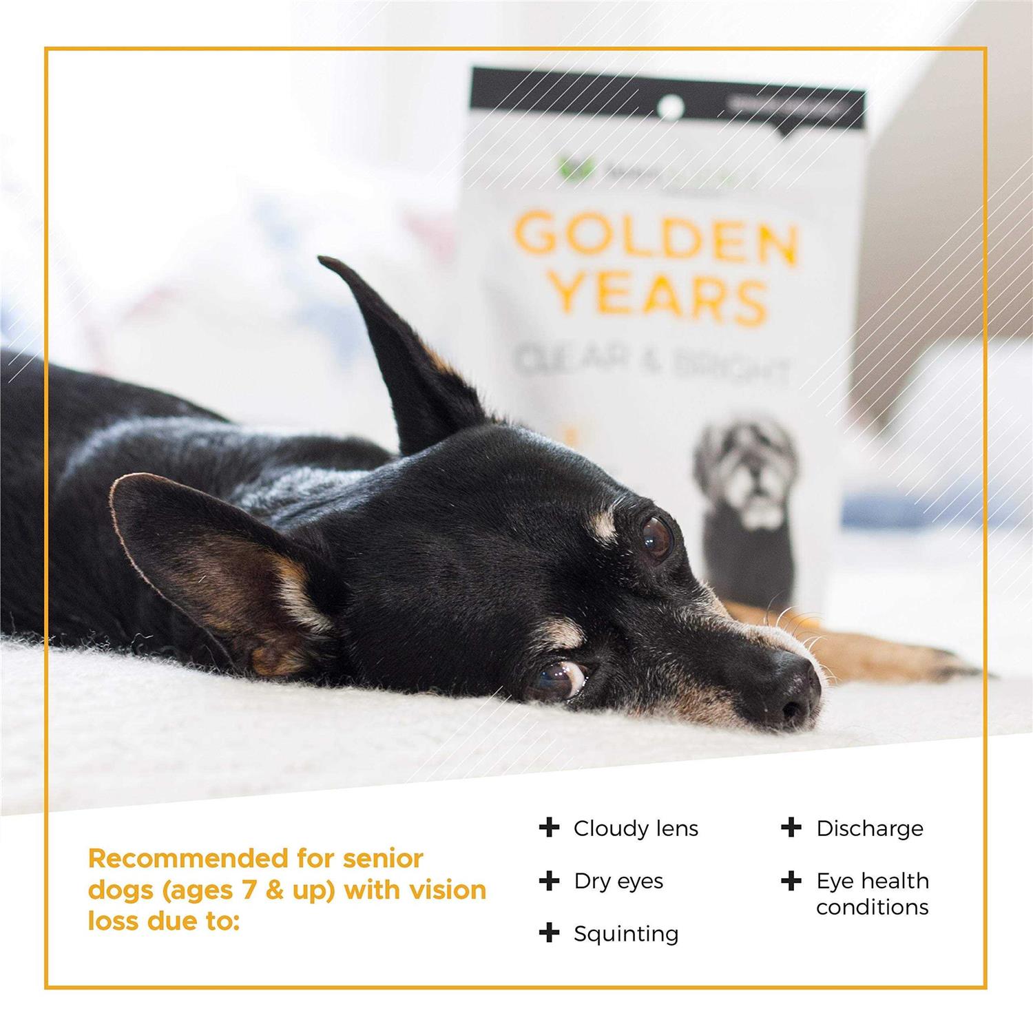 VetriScience Golden Years Clear & Bright Supplement for Dogs 5.29 oz - Nail Gallerys