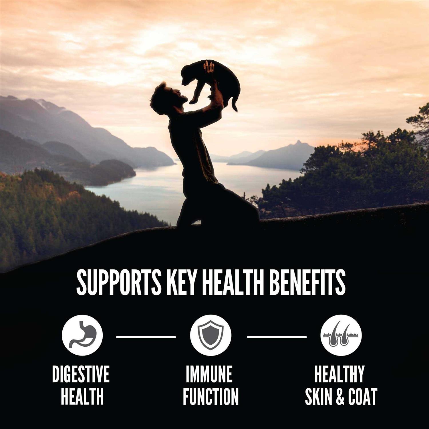 Orijen Amazing Grains Puppy Dry Dog Food - Nail Gallerys