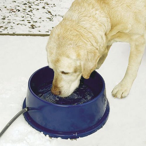 K&H Thermal-Bowl Heated Water Bowl - Nail Gallerys