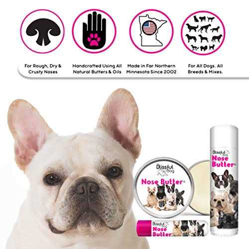 The Blissful Dog Bulldog Unscented Nose Butter - Nail Gallerys
