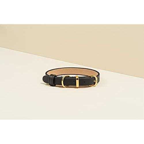 Scamper & Co Genuine Leather & Microfiber Bejeweled Circular Stud Dog Collar - Nail Gallerys