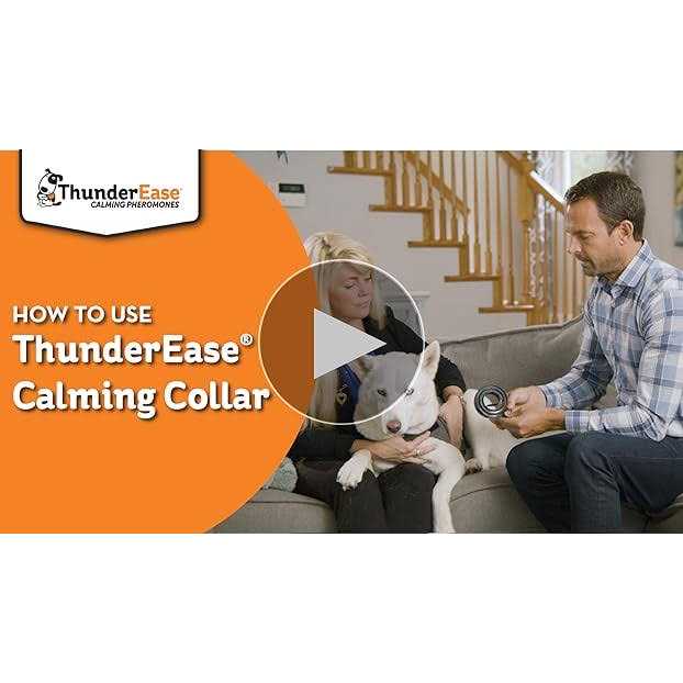 ThunderEase Calming Dog Collar - Nail Gallerys