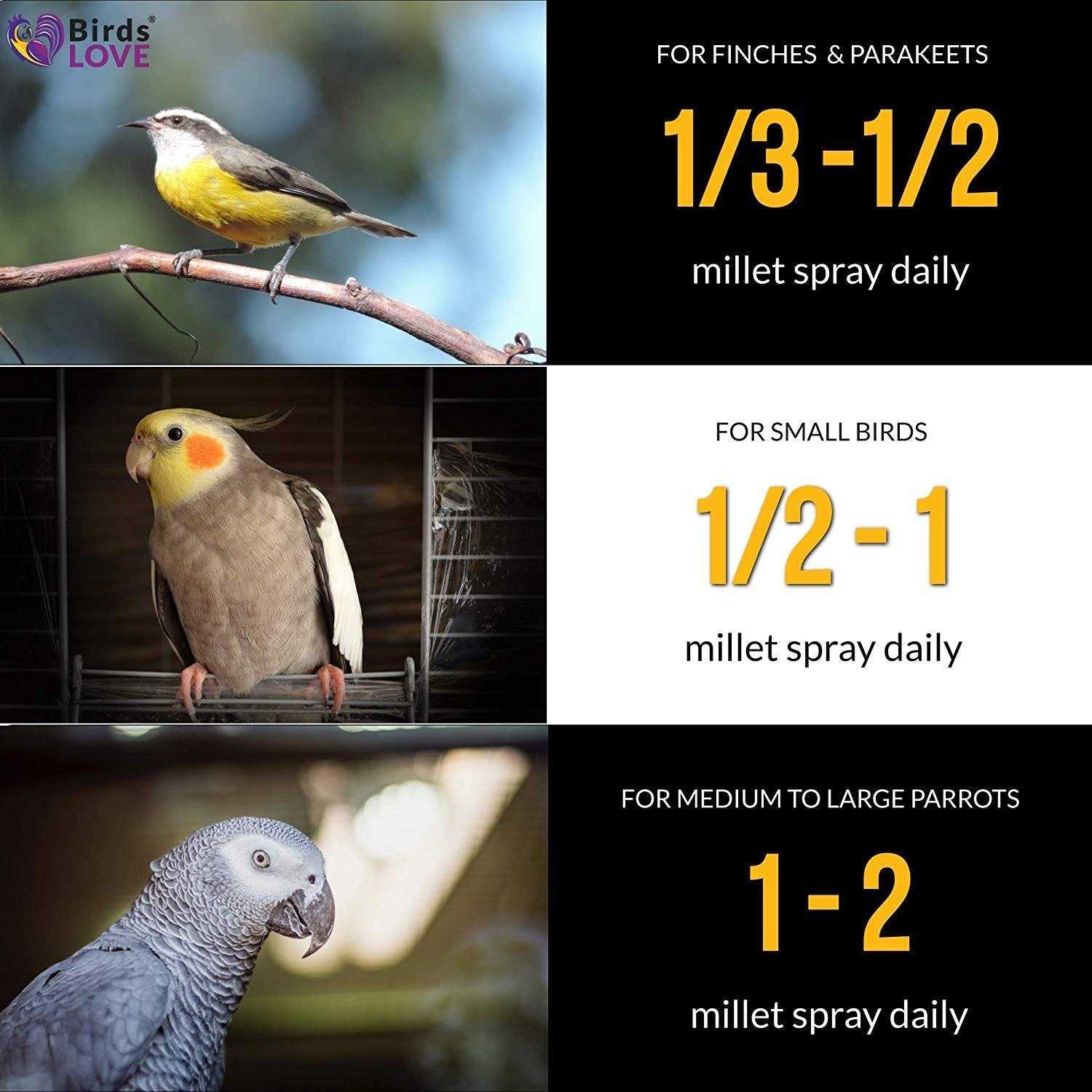 Birds LOVE Wholesome & Lovely Spray Millet GMO Free No Pesticide for Parrots Cockatiel Lovebird Parakeet Finch Canary - Nail Gallerys