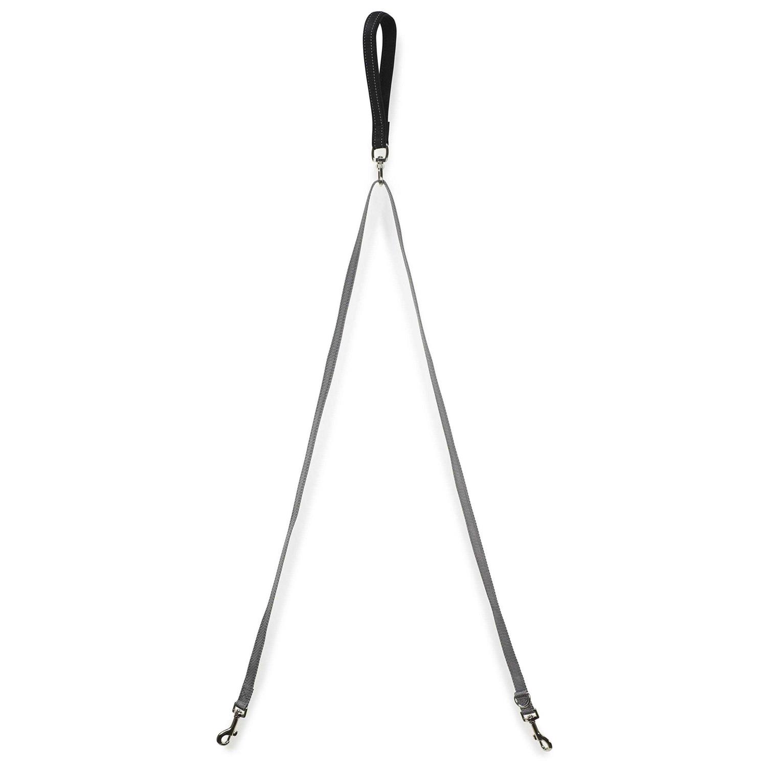 PetSafe Two Point Control Dog Leash - Nail Gallerys