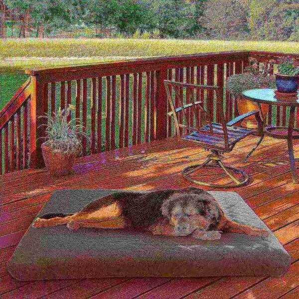 Pet Adobe Waterproof Indoor/Outdoor Memory Foam Pet Bed - Nail Gallerys