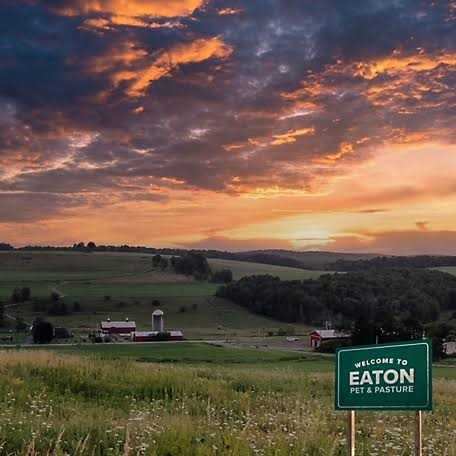 Eaton Pet & Pasture Naturally Grown Hemp Small Pet Bedding - Nail Gallerys