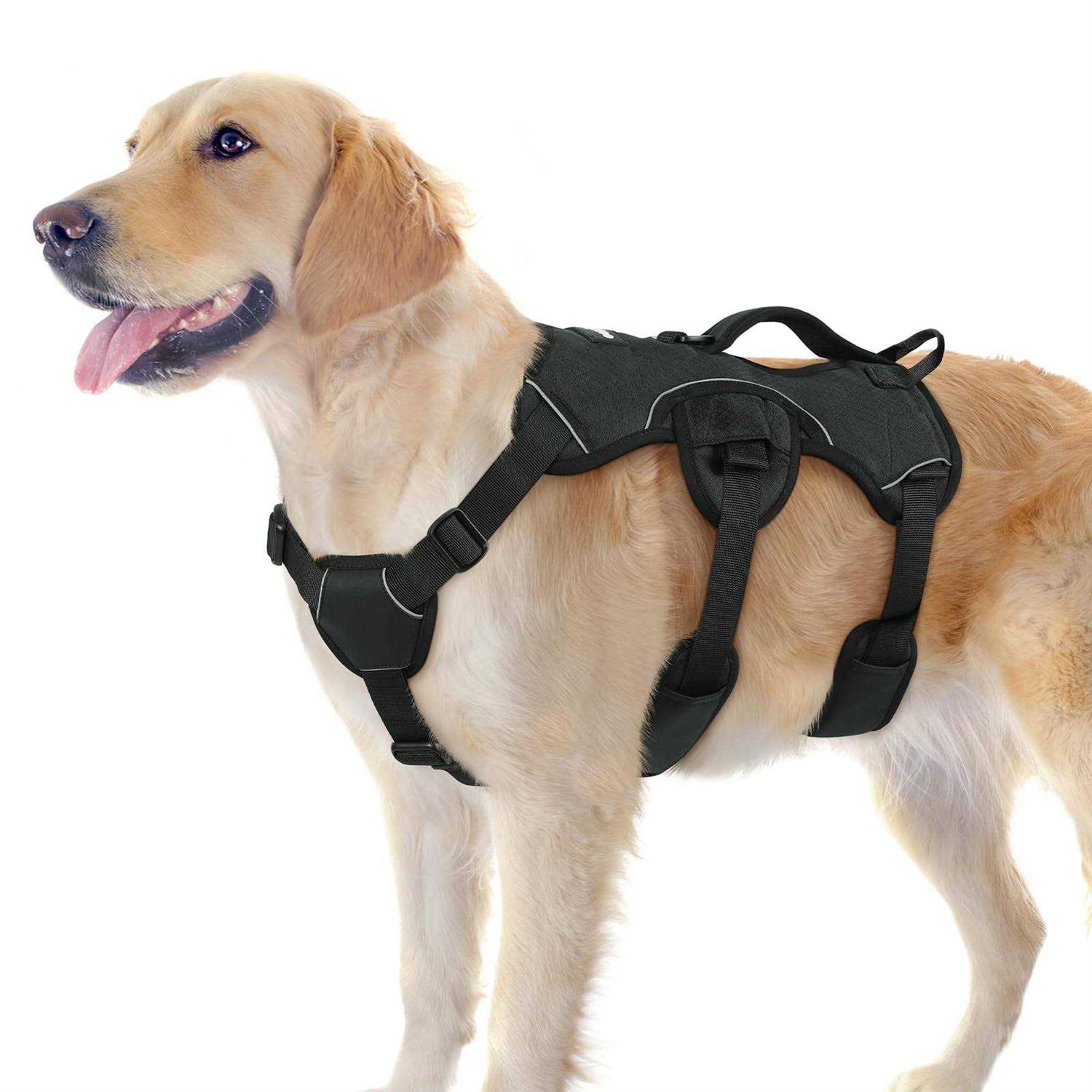 rabbitgoo Dog Harness No Pull Pet Harness with 2 Leash Clips Adjustable Soft Padded Dog Vest - Nail Gallerys