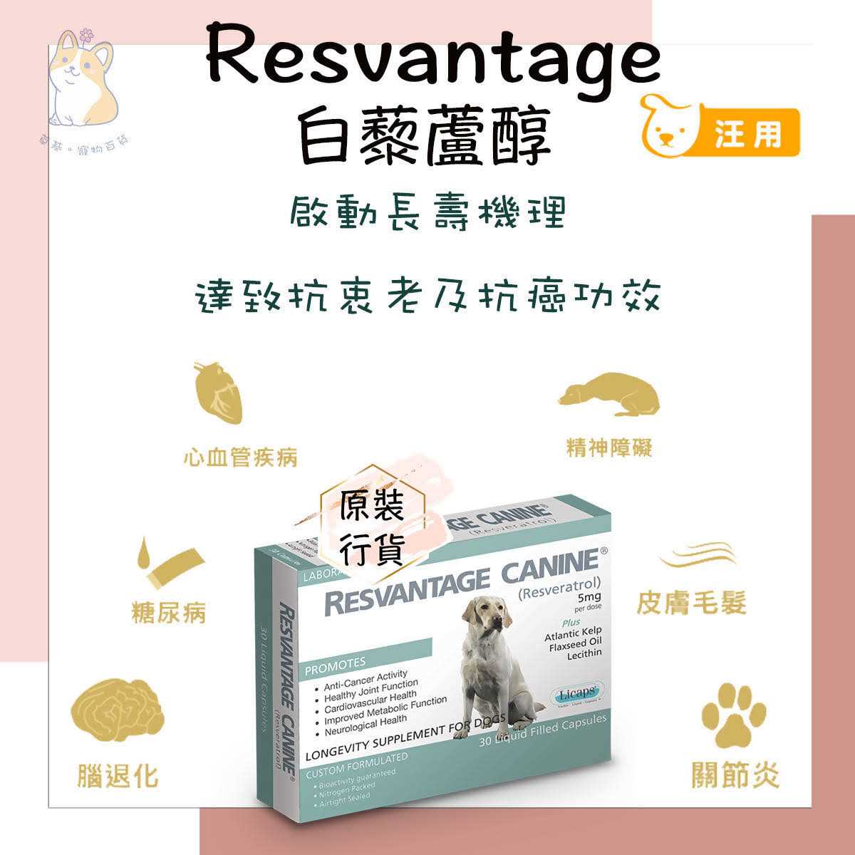 Resvantage Canine - Nail Gallerys