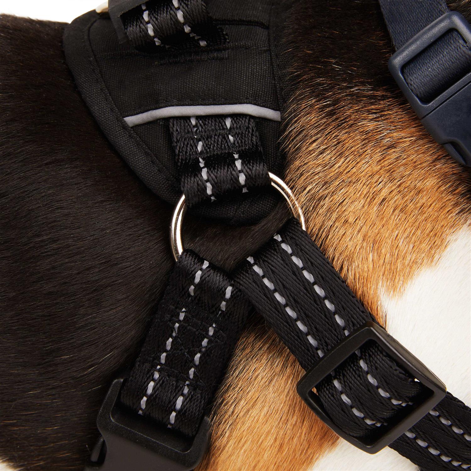 EveryYay Easy On Training Dog Harness - Nail Gallerys