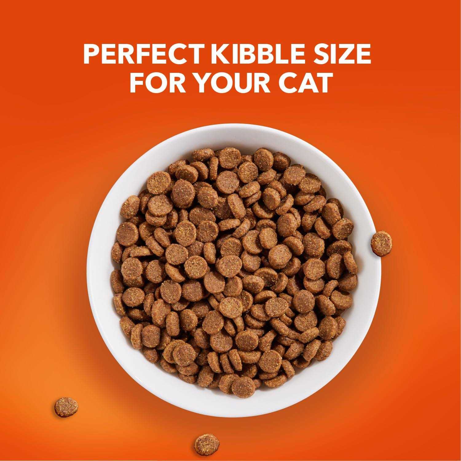 IAMS ProActive Lively Senior Dry Cat Food - Nail Gallerys