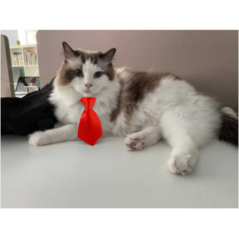 4 Pieces Pets Dog Cat Bowtie Pet Costume Adjustable Formal Necktie Collar for Cats Small Dogs Puppy Grooming Accessories - Nail Gallerys