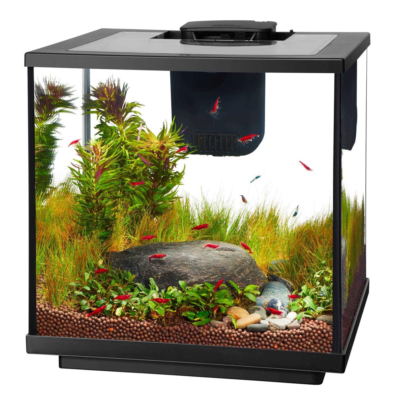 Aqueon 7.5 Gallon LED Shrimp Aquarium Kit - Nail Gallerys