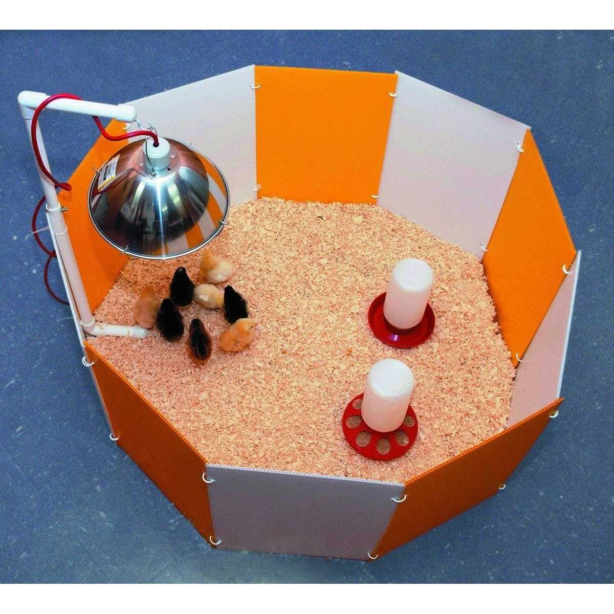 Farm Innovators Baby Chick Starter Home - Nail Gallerys