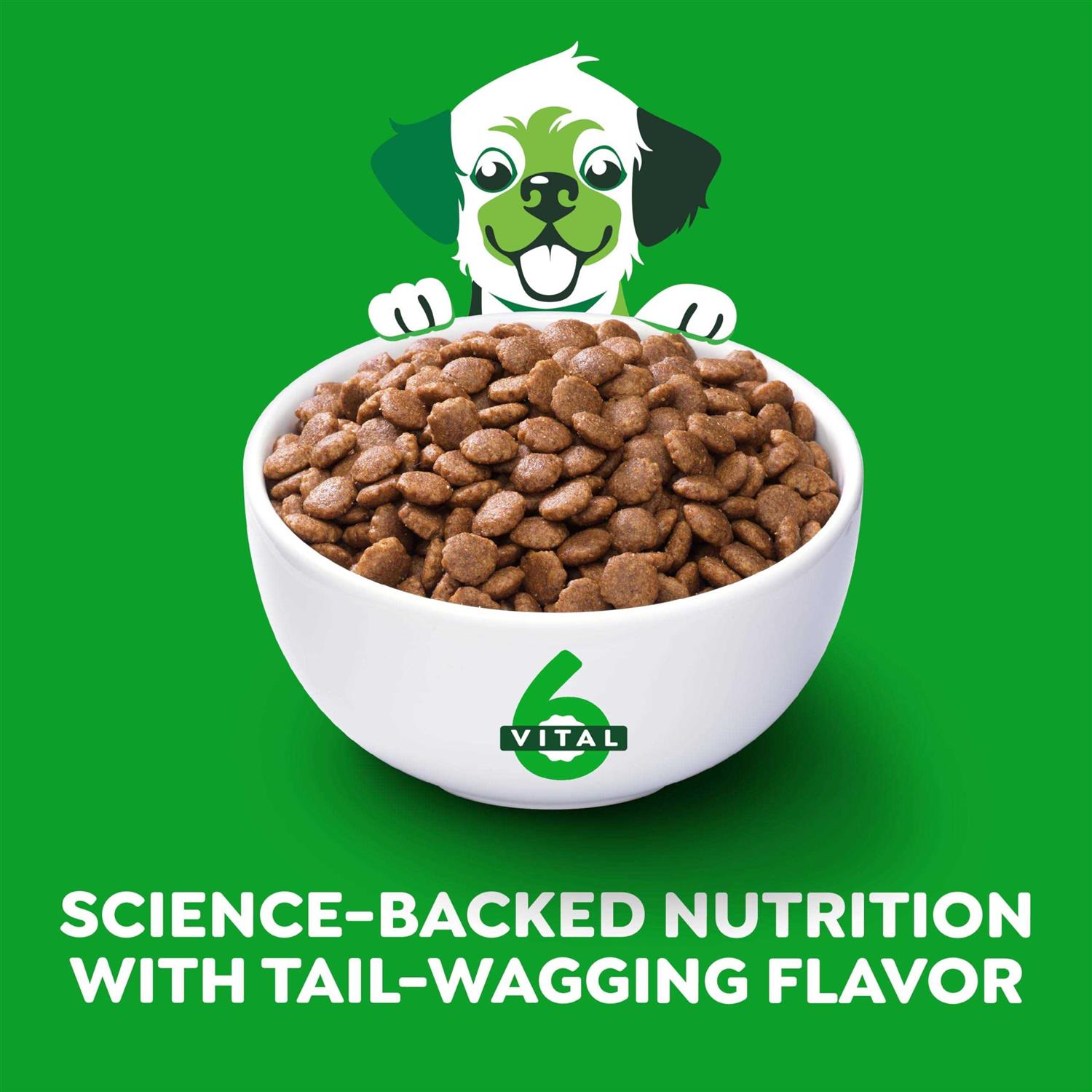 Greenies Smart Essentials Small Breed Adult High Protein Real Chicken & Rice Dry Dog Food - Nail Gallerys