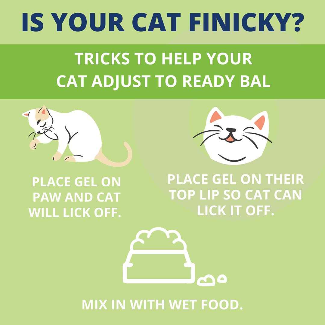 Under the Weather Pet Ready Balance for Cats - Nail Gallerys