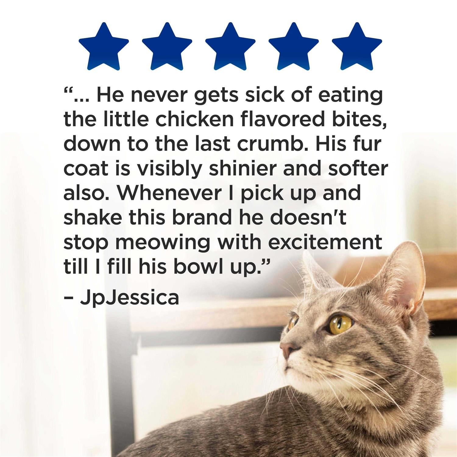 Purina Cat Chow Complete Dry Cat Food - Nail Gallerys