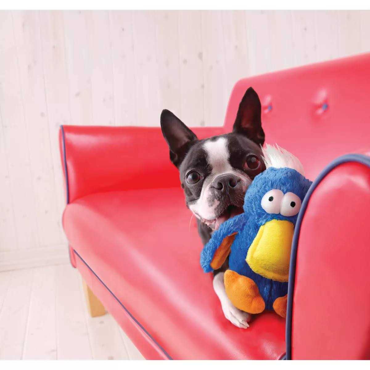 Kong Dodo Bird Dog Toy - Nail Gallerys