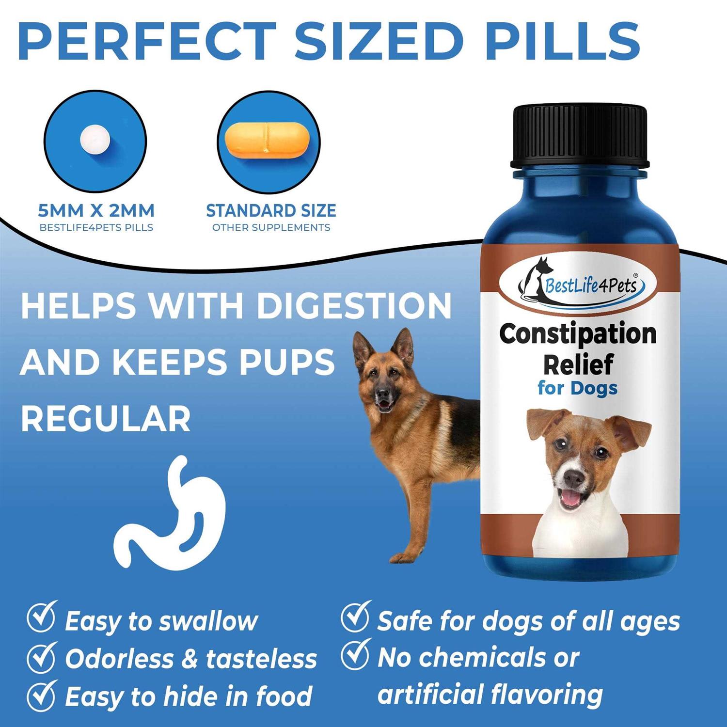 Natural Dog Laxative & Constipation Treatment // Bestlife4pets - Nail Gallerys