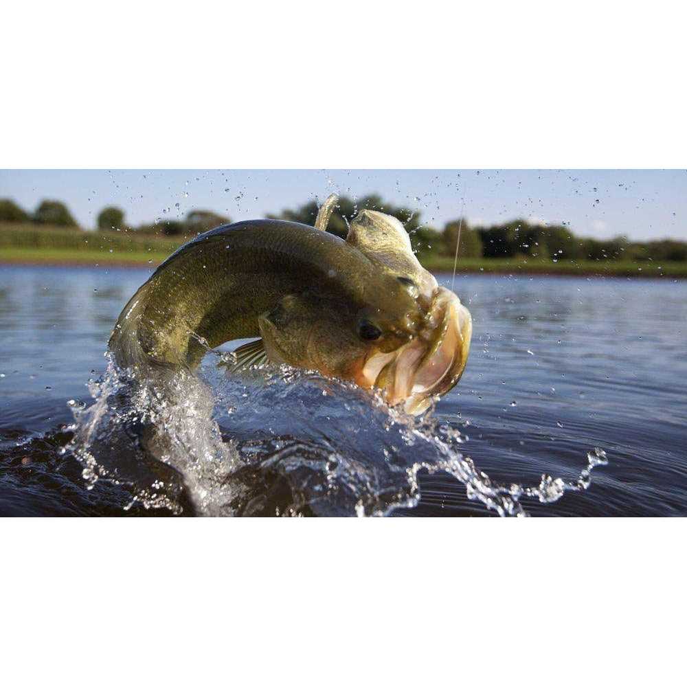 Purina Game Fish Chow - Nail Gallerys