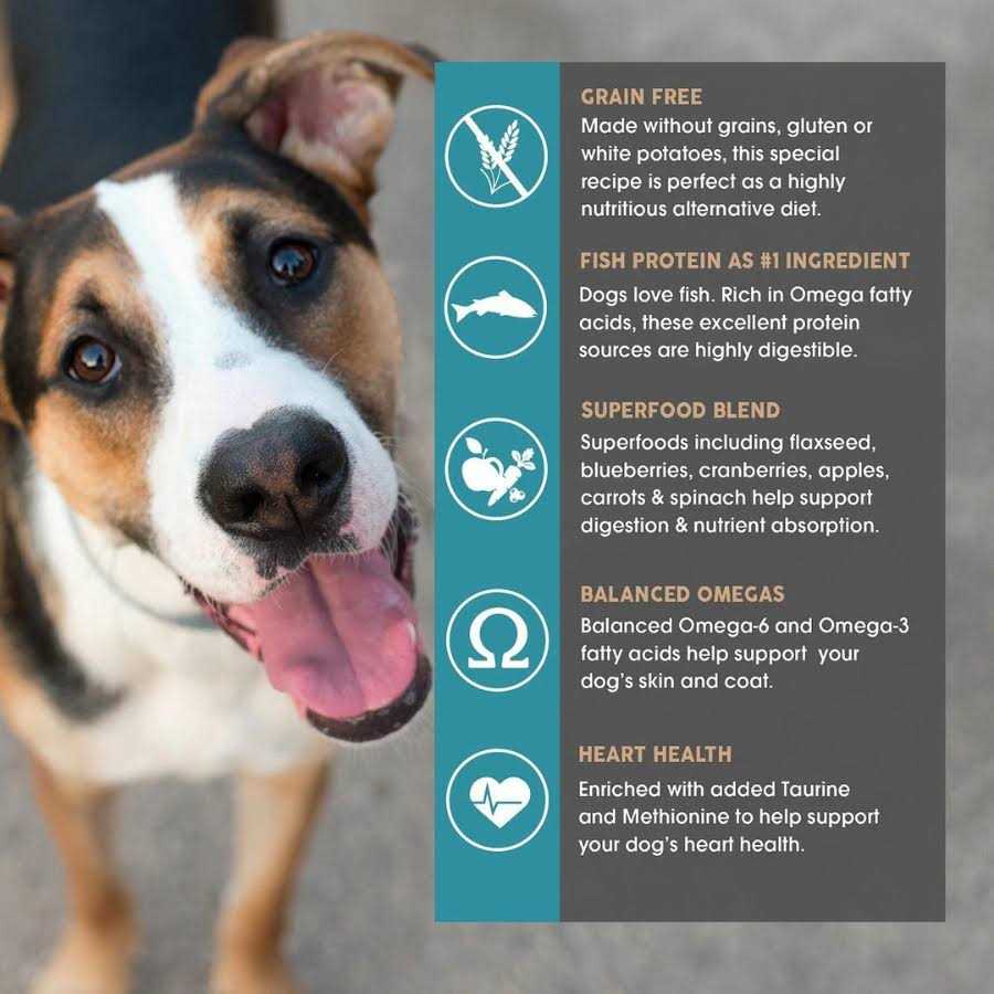 Earthborn Holistic Coastal Catch Grain Free Dog Food - Nail Gallerys