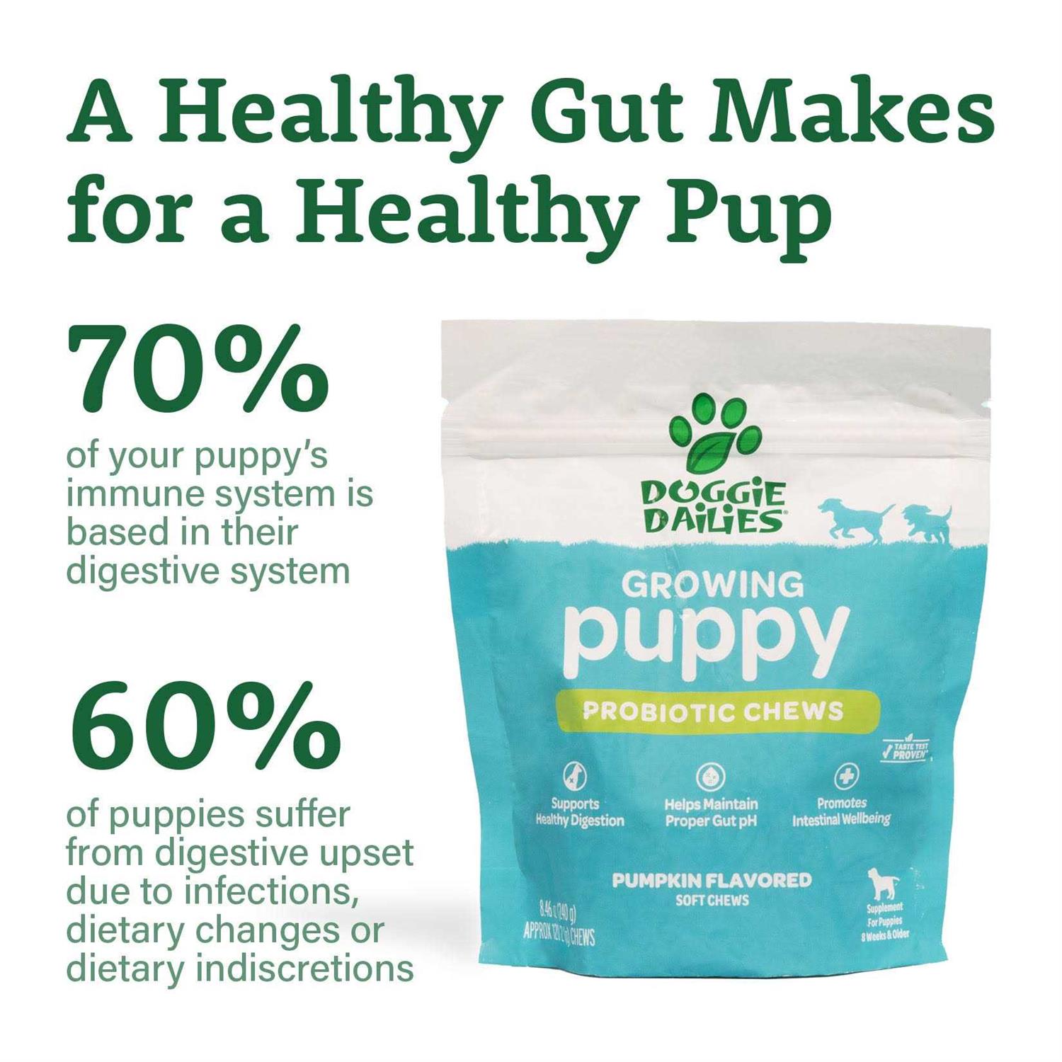 Doggie Dailies Puppy Probiotic Probiotics for Puppies with Digestive Enzymes - Nail Gallerys