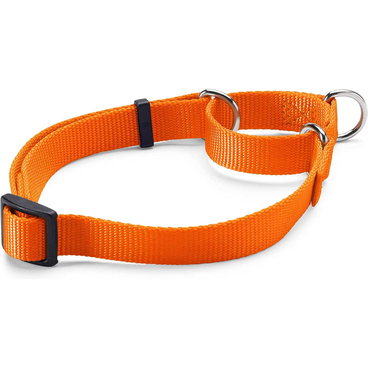 Orvis Dog’S Martingale Collar - Nail Gallerys