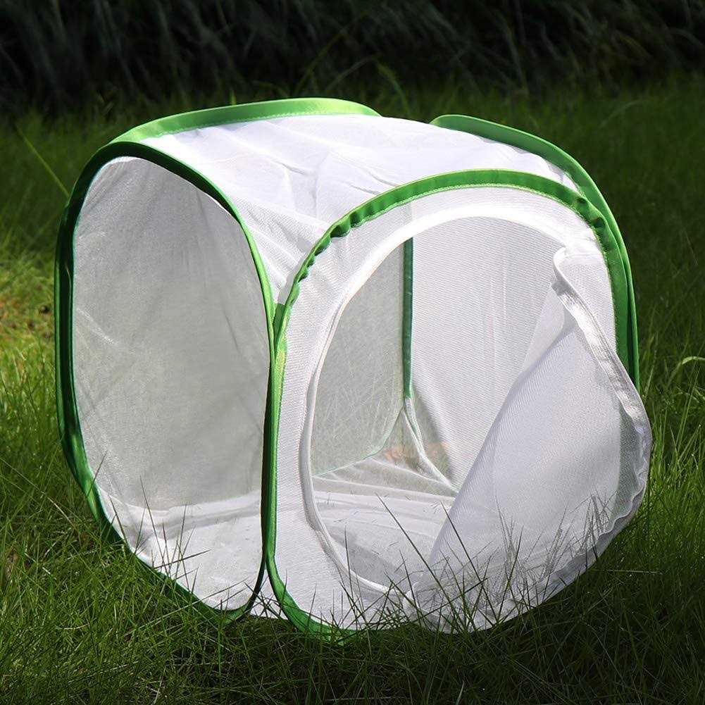 RESTCLOUD Insect and Butterfly Habitat Cage Terrarium Pop-up Tall - Nail Gallerys