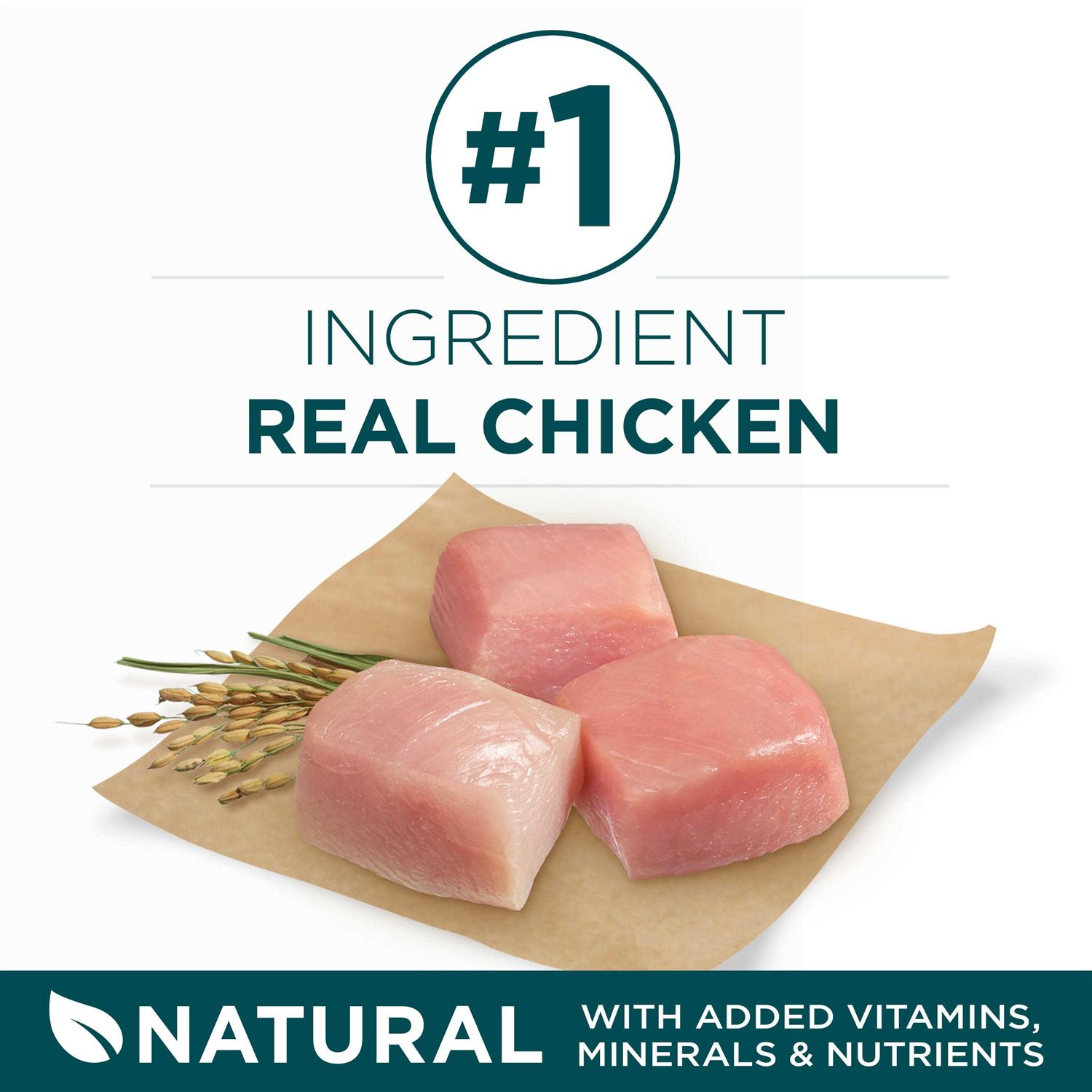 Purina ONE Large Breed Dry Puppy Food - Nail Gallerys