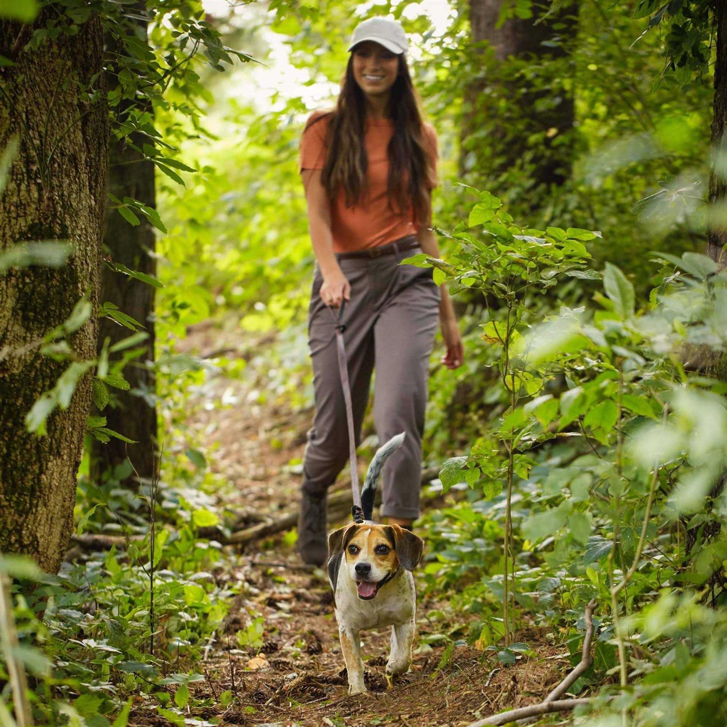 Nature’s Recipe Grain Free Chicken Sweet Potato & Pumpkin Small Breed Dry Dog Food - Nail Gallerys
