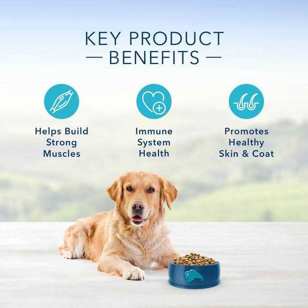 Blue Buffalo Life Protection Formula Healthy Weight Small Breed Adult Chicken & Brown Rice Recipe Dry Dog Food - Nail Gallerys