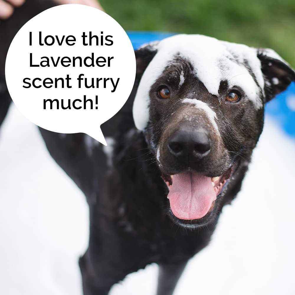 Rosen Apothecary Moisturizing Dog Wash 5-in-1 for Cleansing - Nail Gallerys