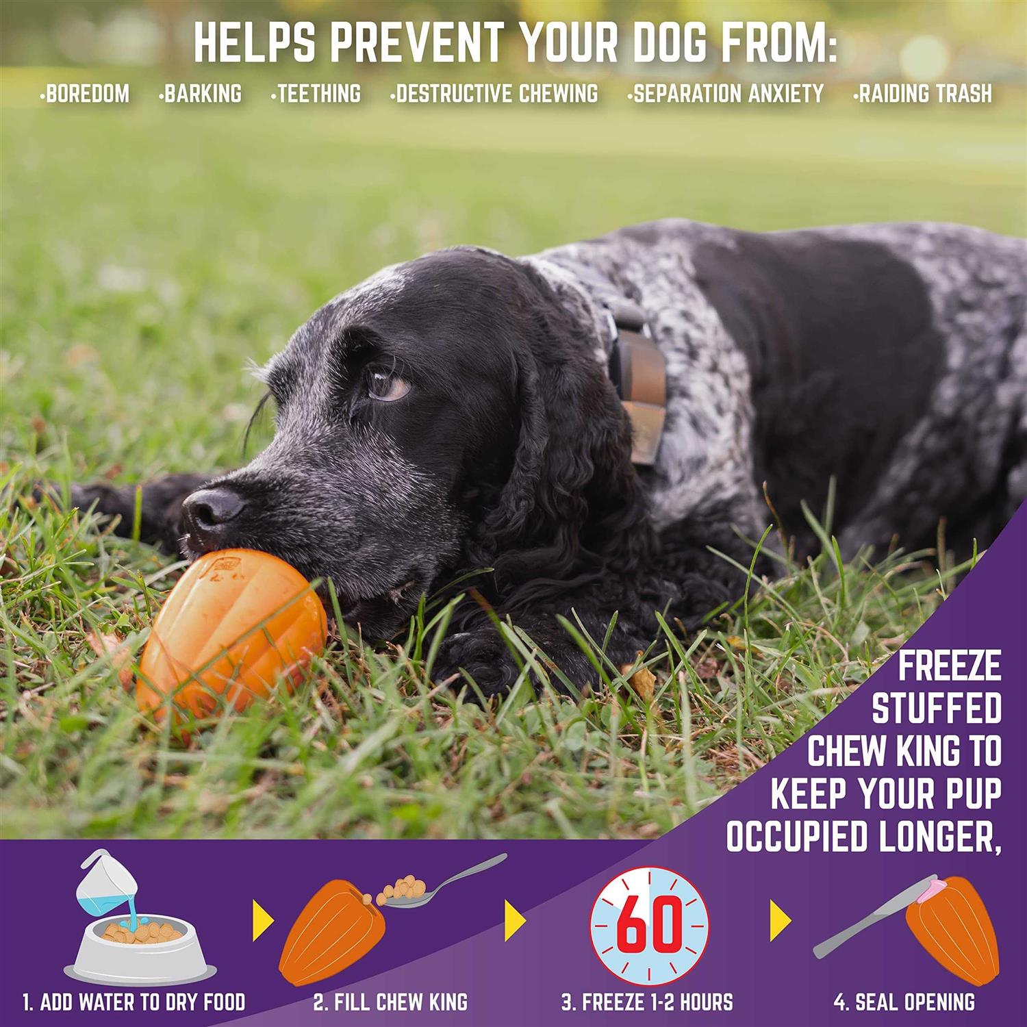 Chew King Premium Treat Dog Toy - Nail Gallerys