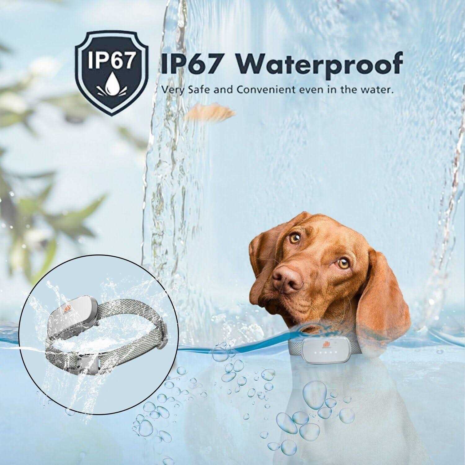 Groovypets Smart Automatic Anti bark Dog Collar Intelligent Waterproof Rechargeable Barking Terminator - Nail Gallerys