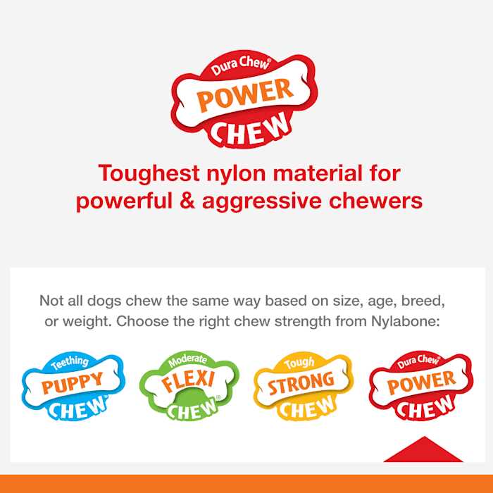 Nylabone Power Basted Blast Dual Flavored Dog Chew Toys - Nail Gallerys
