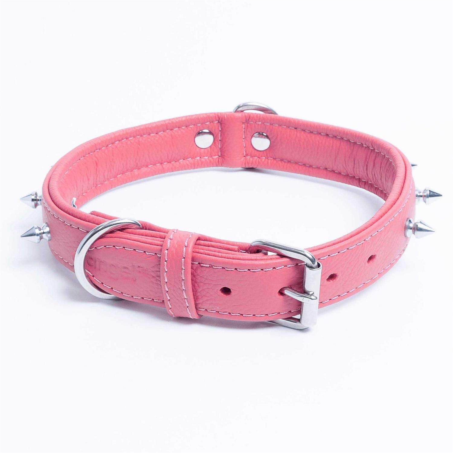 Rotterdam Dog Collar Spiked - Nail Gallerys