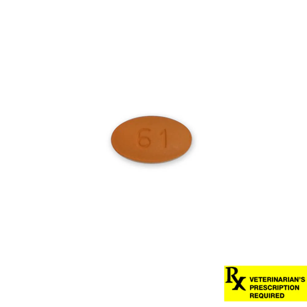 Rx Cefpodoxime Proxetil (Generic) Tablets for Dogs - Nail Gallerys