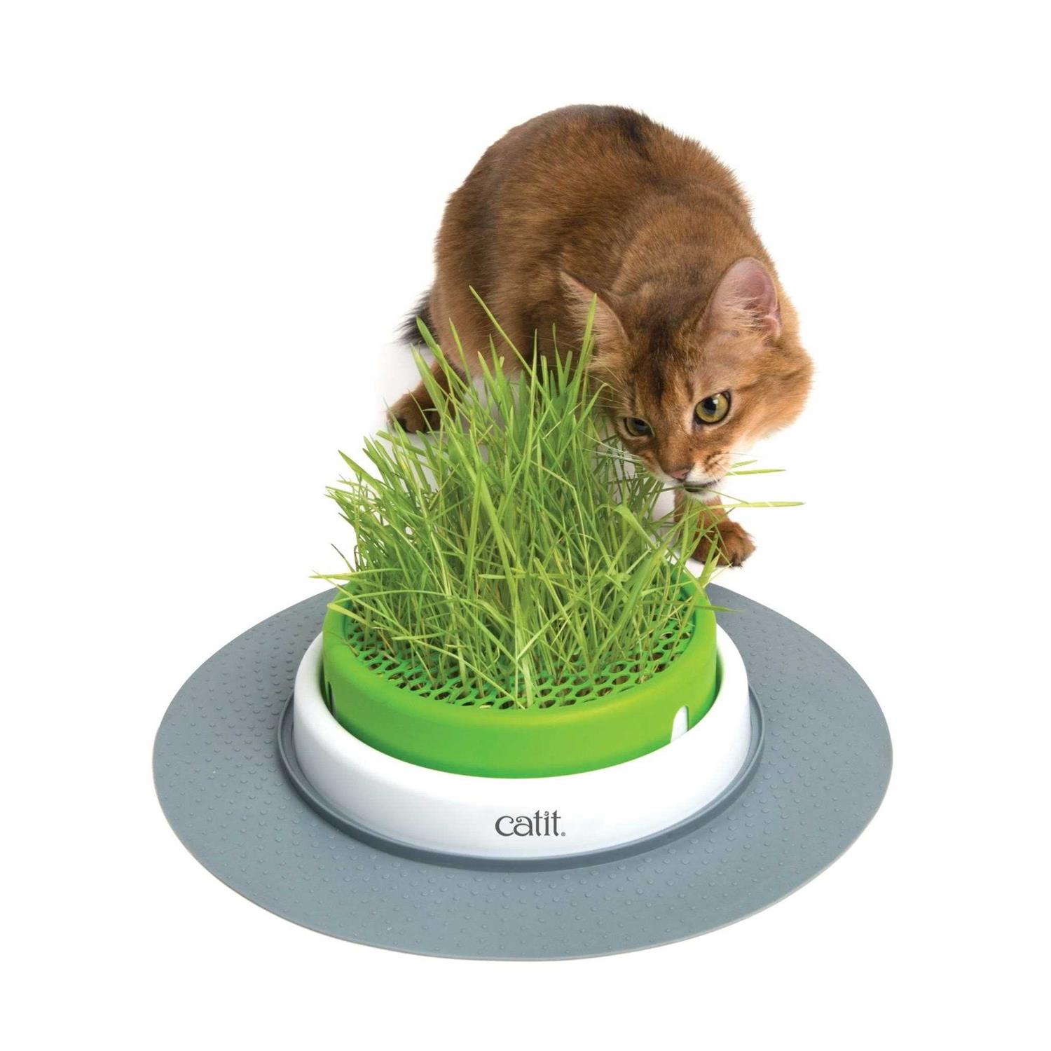 Catit Senses 2.0 Grass Planter - Nail Gallerys