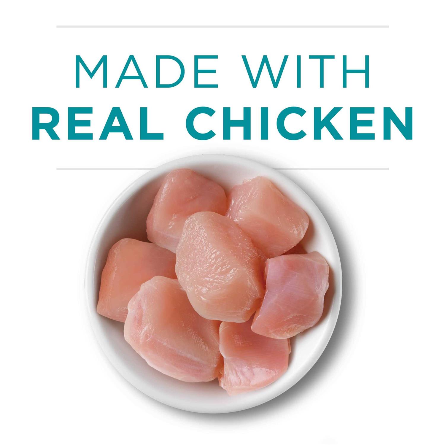 Purina ONE Ideal Weight Wet Cat Food - Nail Gallerys