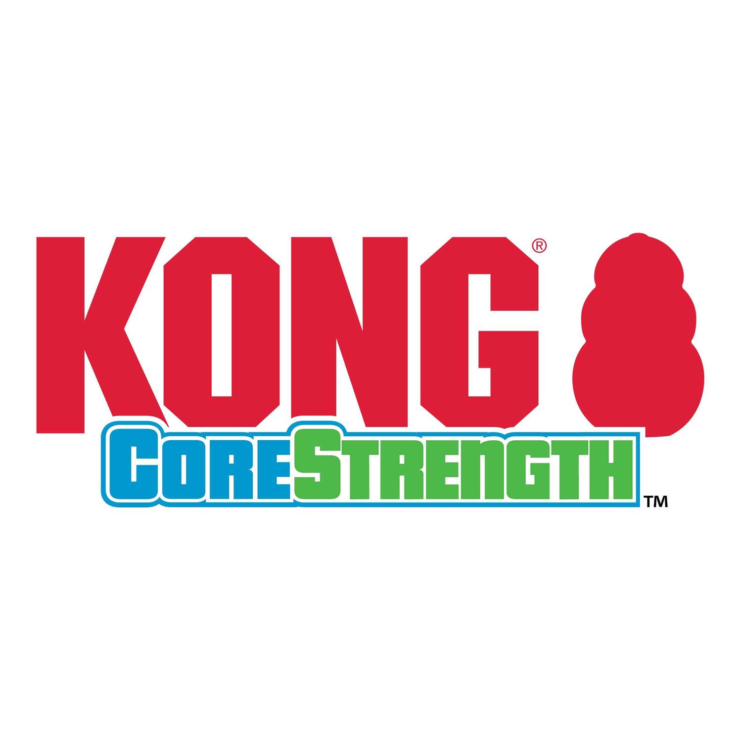 Kong CoreStrength Bone Dog Toy - Nail Gallerys