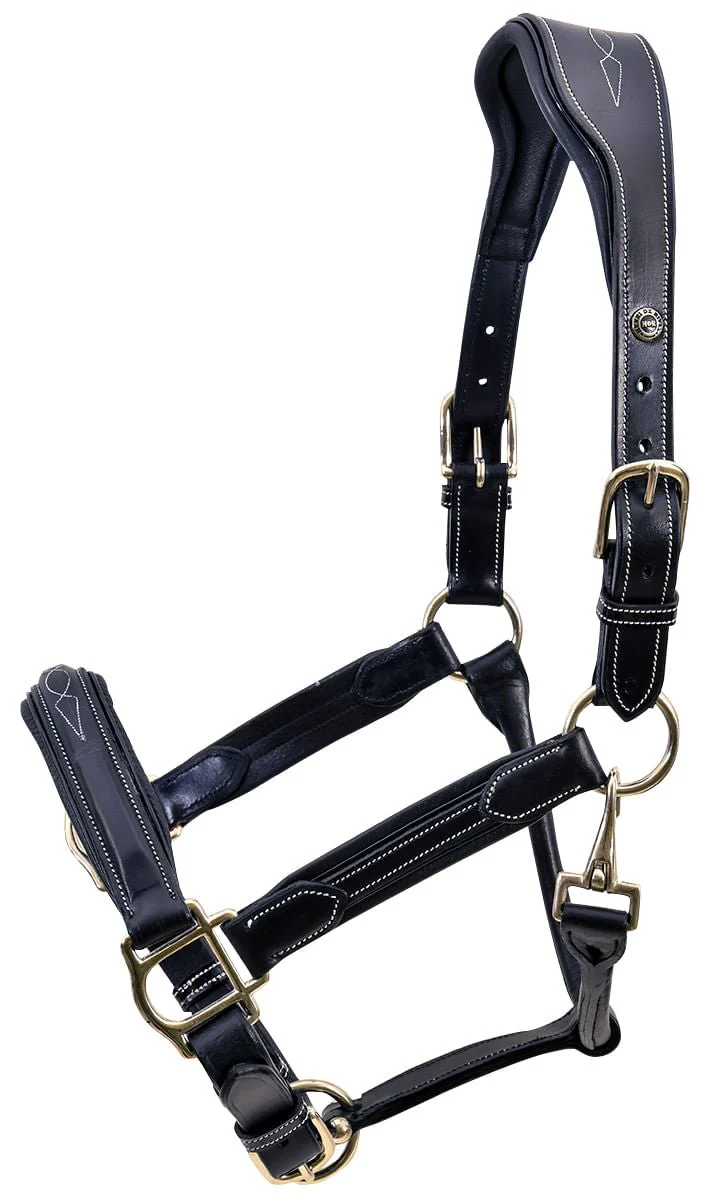 HDR Stress Free Fancy Stitch Leather Halter - Nail Gallerys