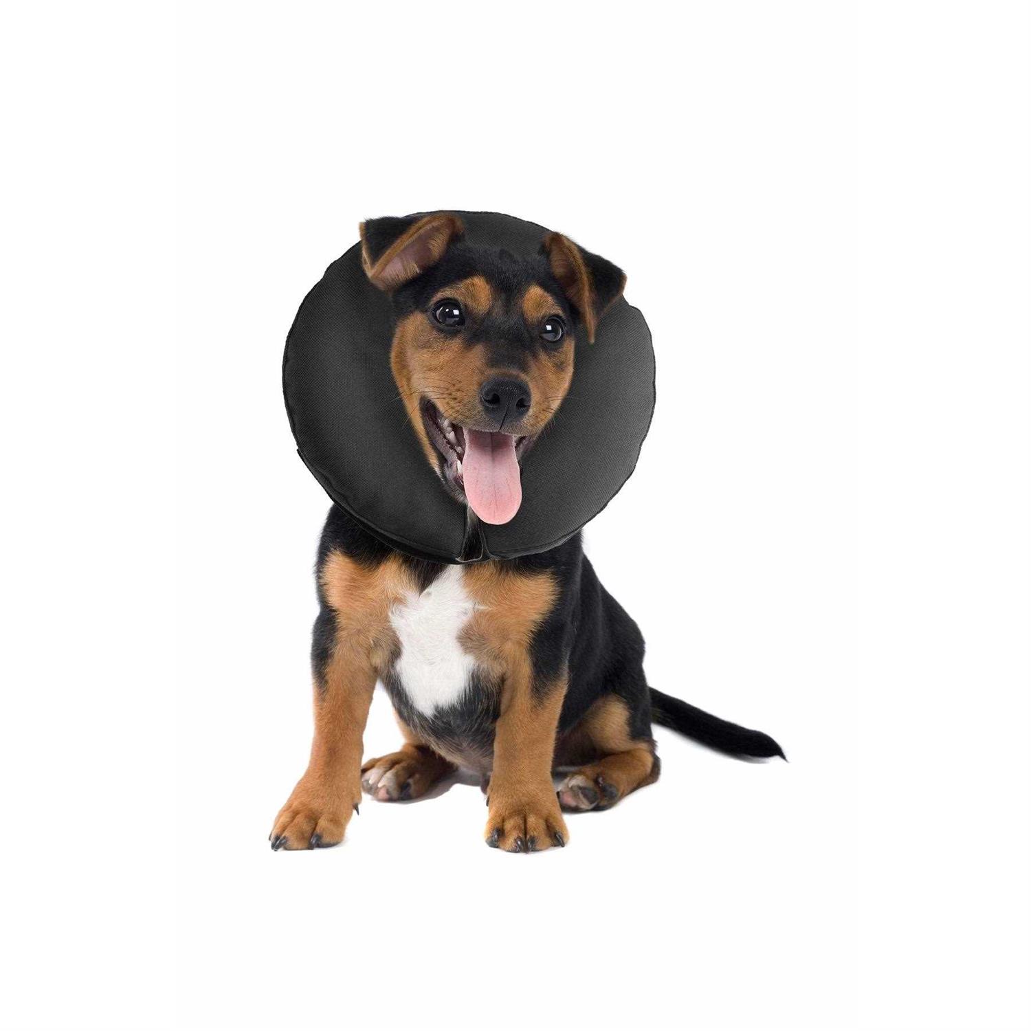 ZenPet Inflatable Recovery Collar - Nail Gallerys