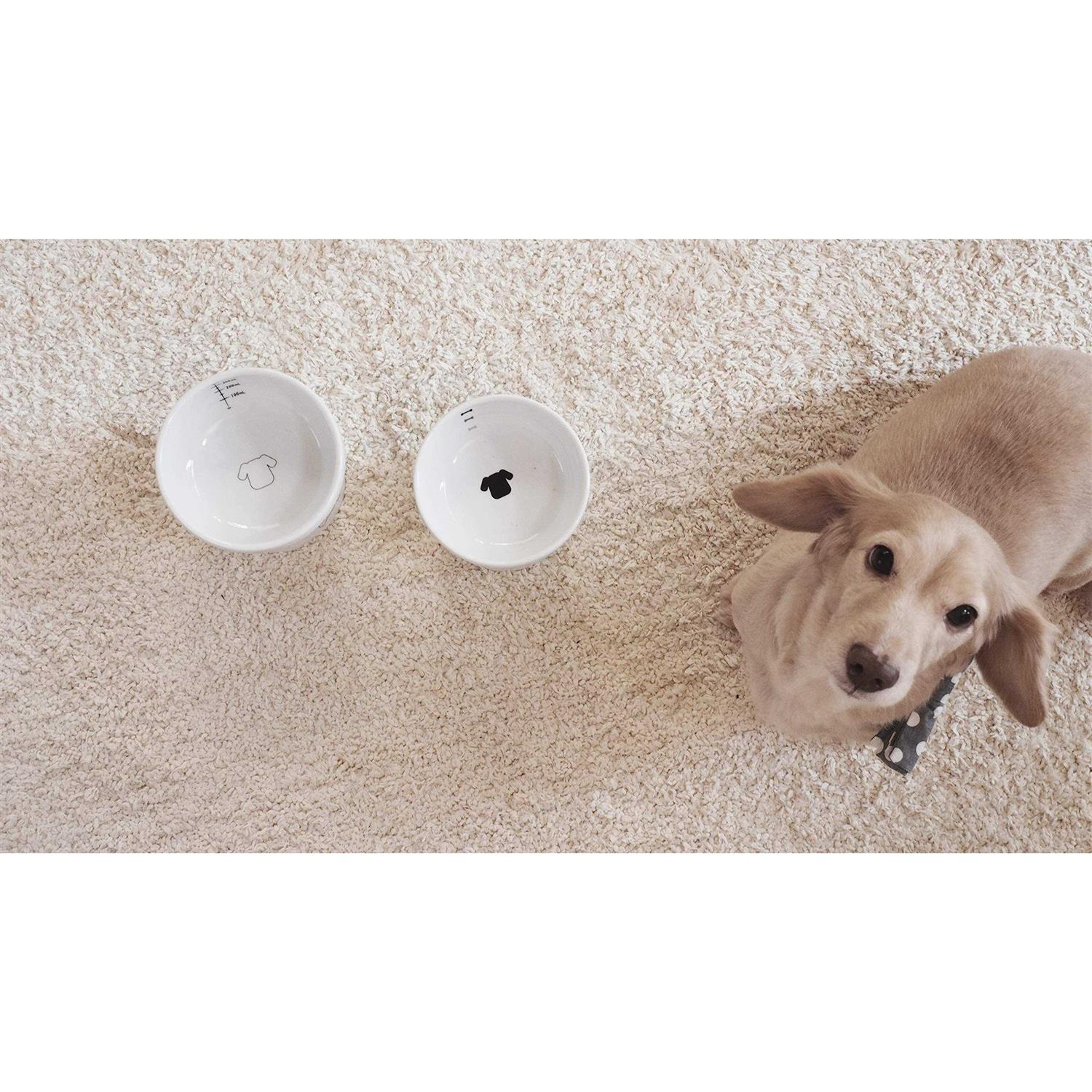 Necoichi Raised Dog Food Bowl - Nail Gallerys