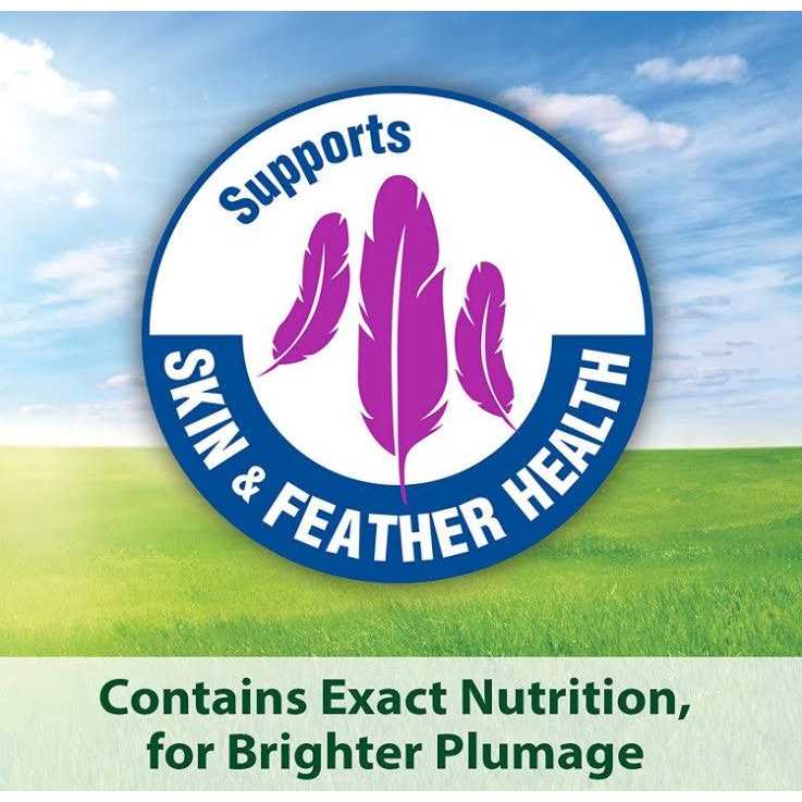 Kaytee Fiesta Cockatiel Food - Nail Gallerys