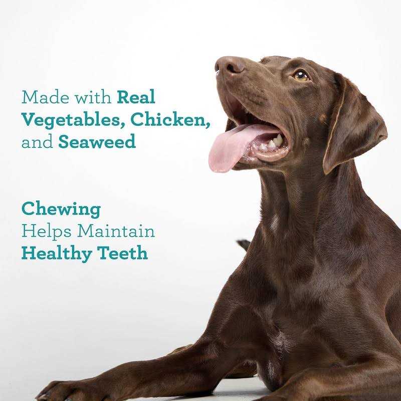 DreamBone Triple Action Dental Sticks - Nail Gallerys