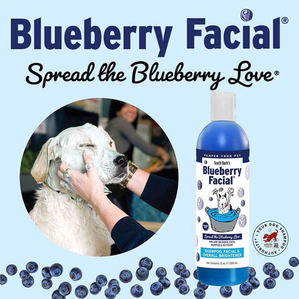 South Bark Blueberry Facial - Nail Gallerys