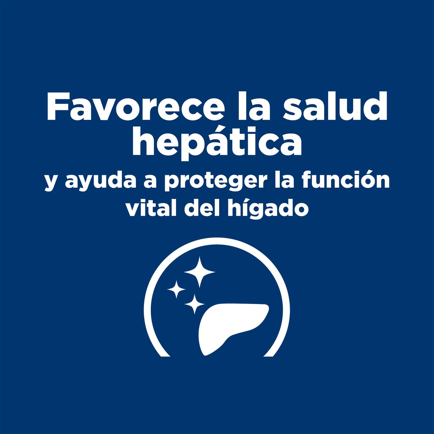 Hill’s Prescription Diet l/d Liver Care Chicken Flavor Dry Dog Food - Nail Gallerys