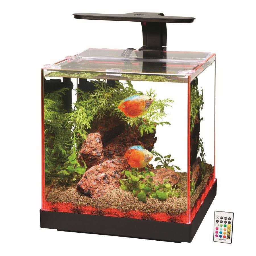 Aqueon Edgelit Cube Aquarium - Nail Gallerys