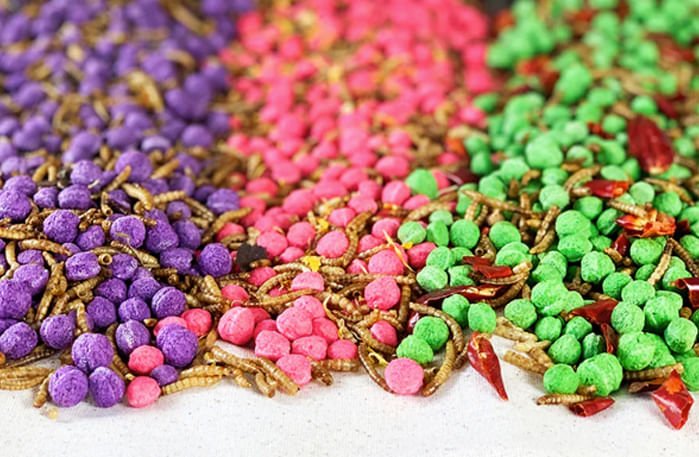 Happy Hen Free Range Feast Mealworm Blends for Chickens, 2 lb - Nail Gallerys