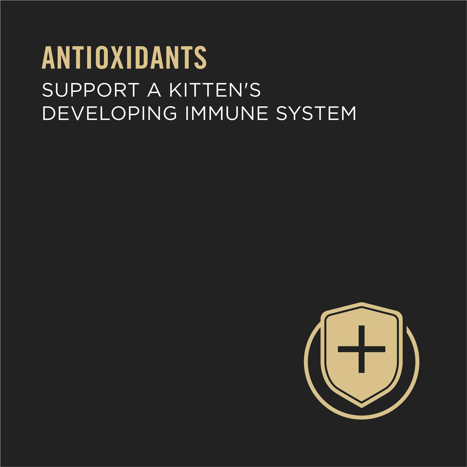 Purina Pro Plan Grain Free Pate Wet Kitten Food - Nail Gallerys