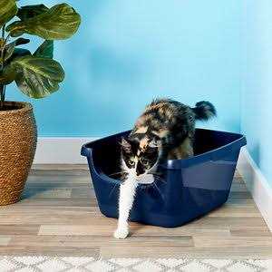 Frisco High Sided Cat Litter Box - Nail Gallerys
